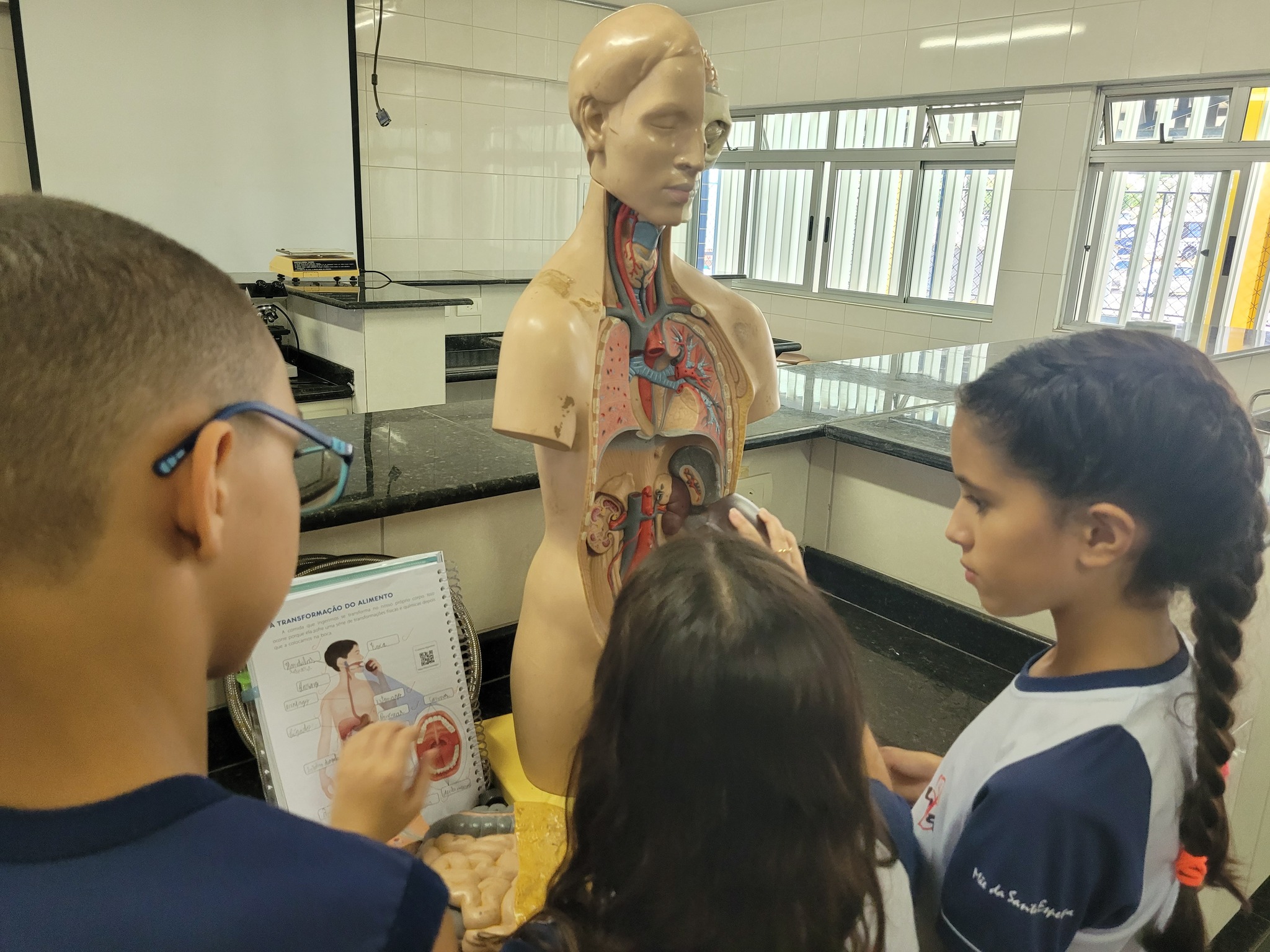 Corpo humano M�e da Santa Esperan�a